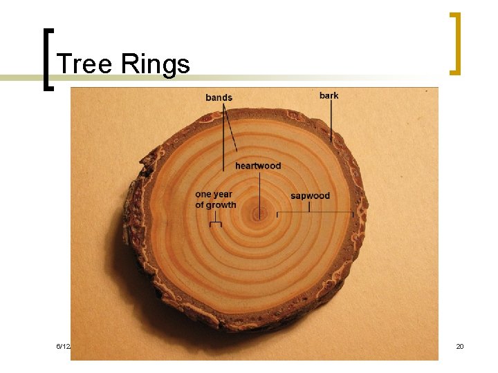Tree Rings 6/12/2021 SB 3 A and SB 3 C 20 