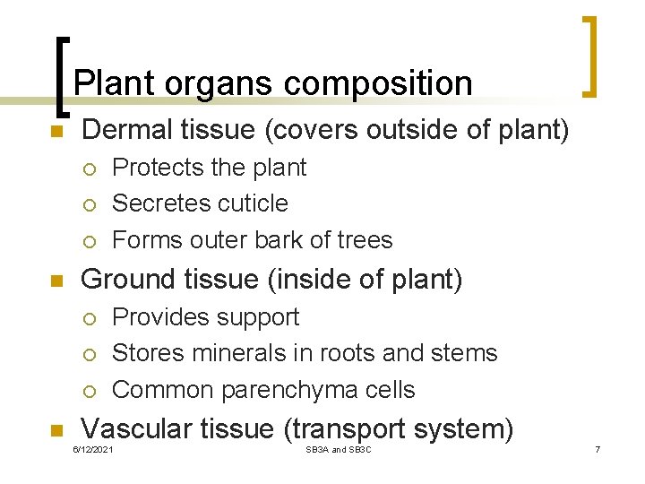 Plant organs composition n Dermal tissue (covers outside of plant) ¡ ¡ ¡ n