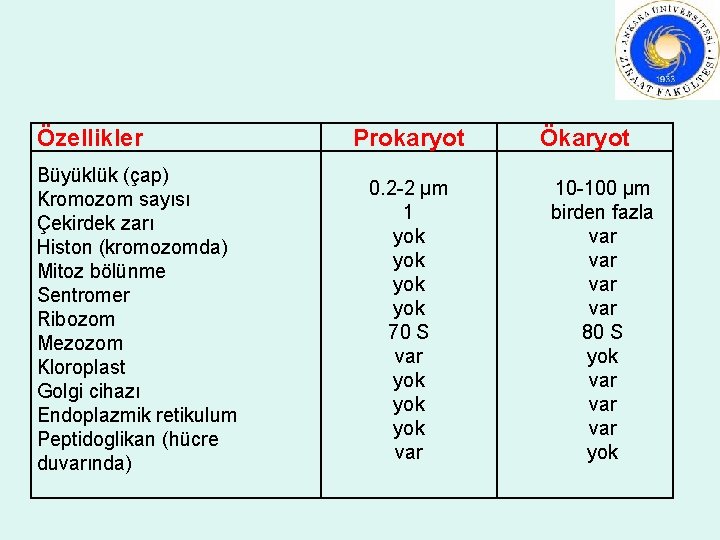 Özellikler Büyüklük (çap) Kromozom sayısı Çekirdek zarı Histon (kromozomda) Mitoz bölünme Sentromer Ribozom Mezozom