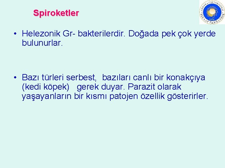 Spiroketler • Helezonik Gr- bakterilerdir. Doğada pek çok yerde bulunurlar. • Bazı türleri serbest,