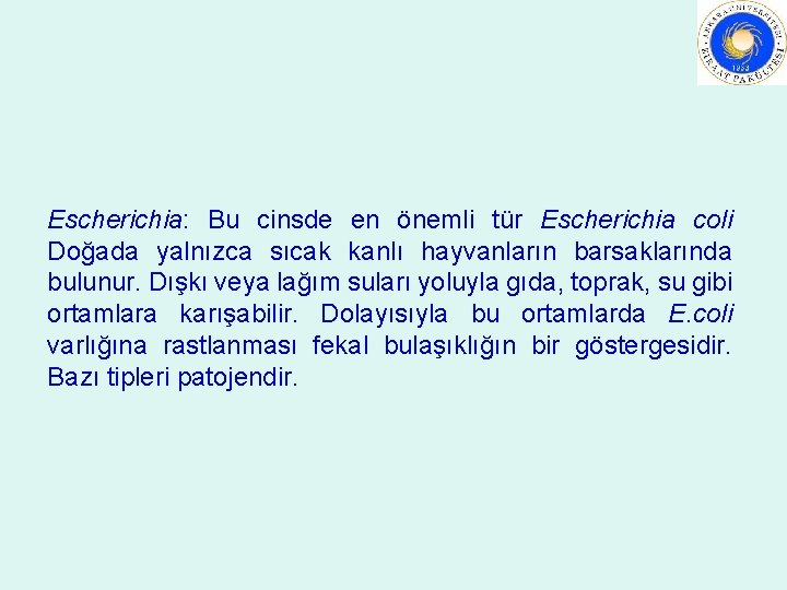 Escherichia: Bu cinsde en önemli tür Escherichia coli Doğada yalnızca sıcak kanlı hayvanların barsaklarında