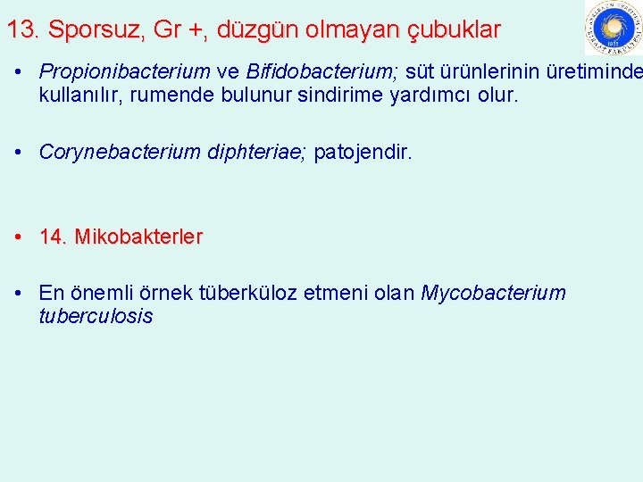 13. Sporsuz, Gr +, düzgün olmayan çubuklar • Propionibacterium ve Bifidobacterium; süt ürünlerinin üretiminde