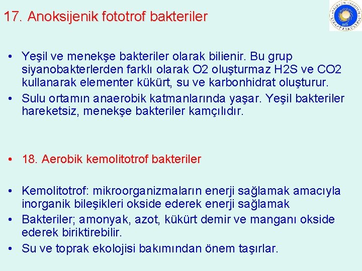 17. Anoksijenik fototrof bakteriler • Yeşil ve menekşe bakteriler olarak bilienir. Bu grup siyanobakterlerden