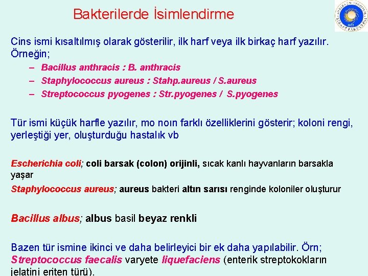 Bakterilerde İsimlendirme Cins ismi kısaltılmış olarak gösterilir, ilk harf veya ilk birkaç harf yazılır.