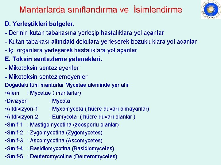 Mantarlarda sınıflandırma ve İsimlendirme D. Yerleştikleri bölgeler. - Derinin kutan tabakasına yerleşip hastalıklara yol