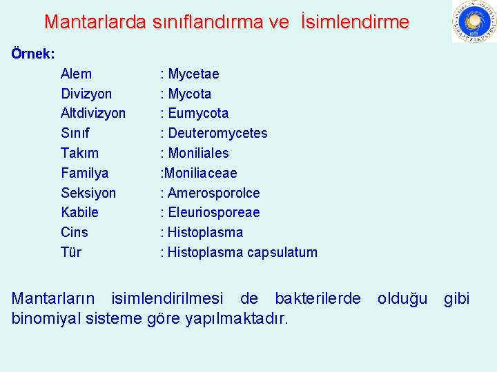 Mantarlarda sınıflandırma ve İsimlendirme Örnek: Alem Divizyon Altdivizyon Sınıf Takım Familya Seksiyon Kabile Cins