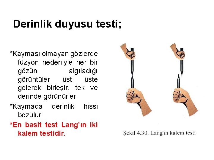 Derinlik duyusu testi; *Kayması olmayan gözlerde füzyon nedeniyle her bir gözün algıladığı görüntüler üste