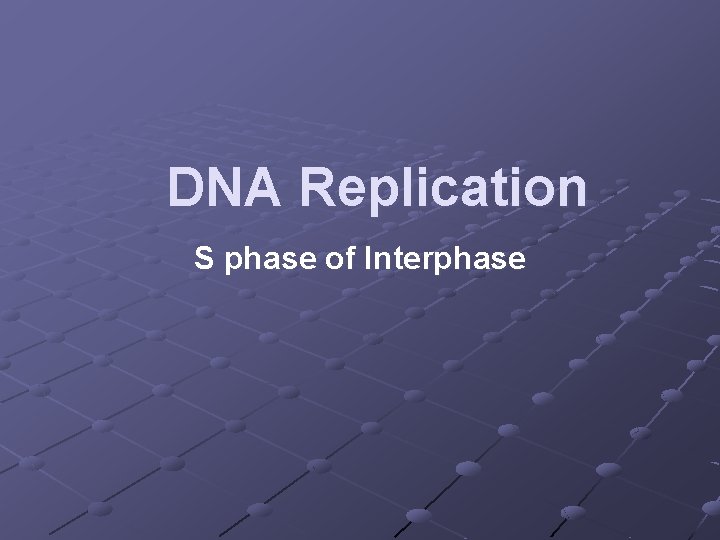 DNA Replication S phase of Interphase 