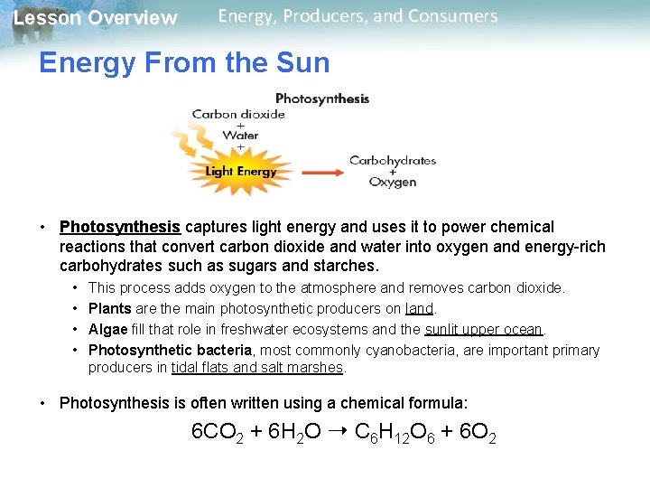 Lesson Overview Energy, Producers, and Consumers Energy From the Sun • Photosynthesis captures light