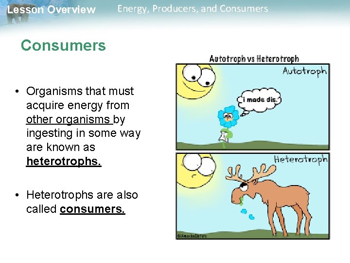 Lesson Overview Energy, Producers, and Consumers • Organisms that must acquire energy from other