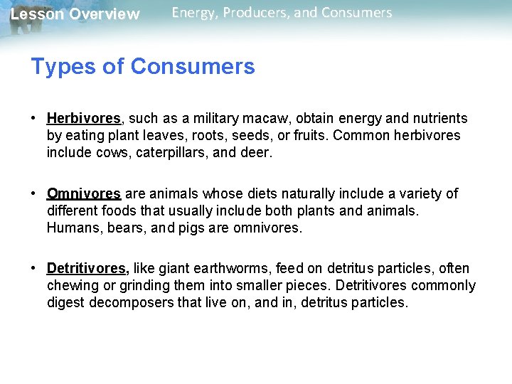 Lesson Overview Energy, Producers, and Consumers Types of Consumers • Herbivores, such as a