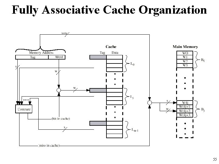 Fully Associative Cache Organization 55 