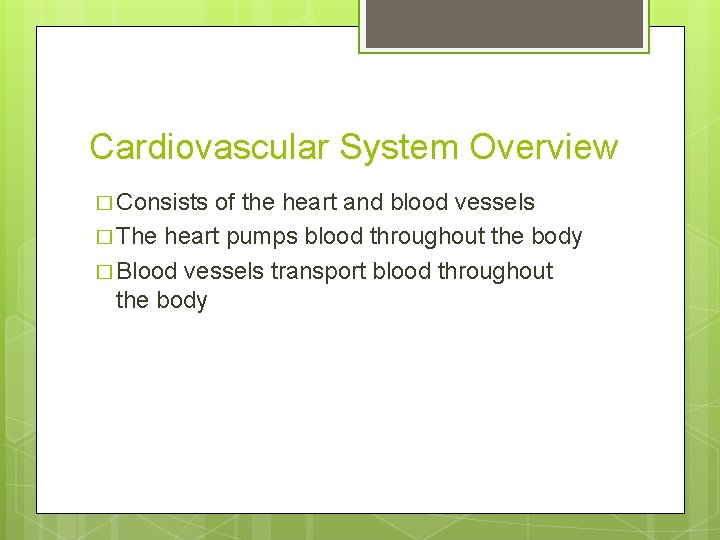 Cardiovascular System Overview � Consists of the heart and blood vessels � The heart