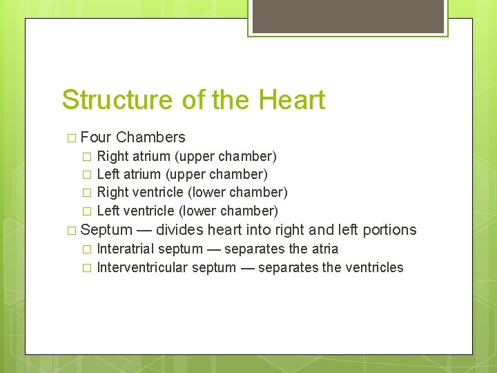 Structure of the Heart � Four Chambers Right atrium (upper chamber) � Left atrium