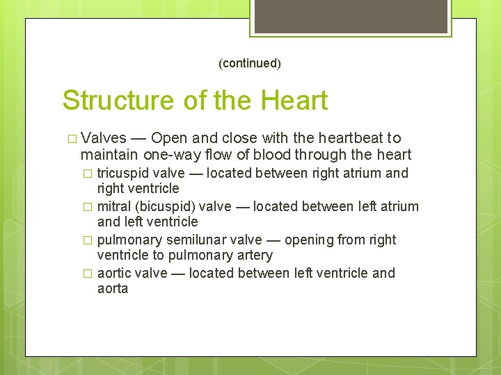 (continued) Structure of the Heart � Valves — Open and close with the heartbeat