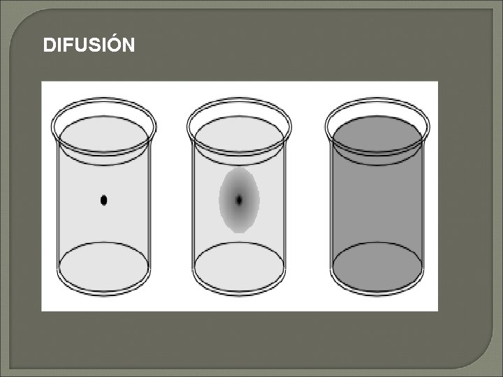 DIFUSIÓN 