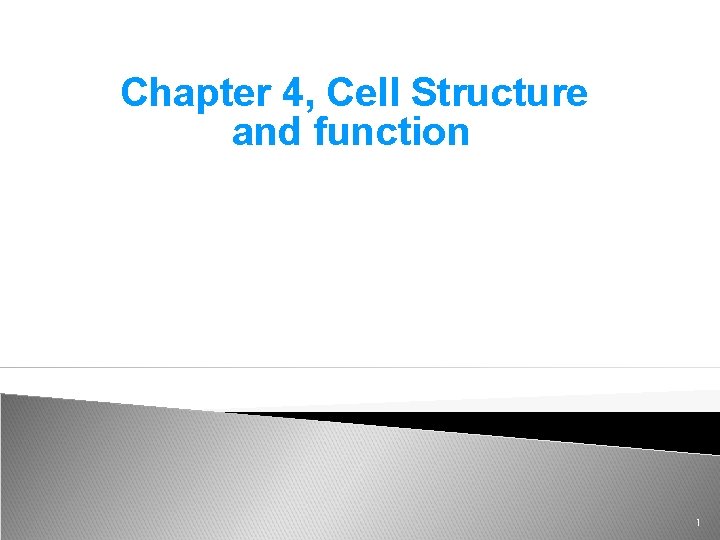 Chapter 4, Cell Structure and function Cell Structure and Function 1 