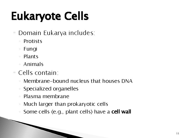 Eukaryote Cells Domain Eukarya includes: ◦ ◦ Protists Fungi Plants Animals Cells contain: ◦