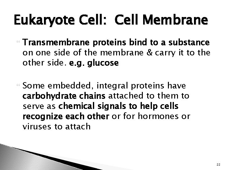 Eukaryote Cell: Cell Membrane Transmembrane proteins bind to a substance on one side of