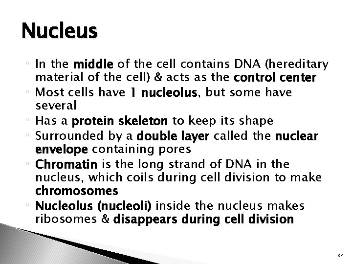 Nucleus In the middle of the cell contains DNA (hereditary material of the cell)