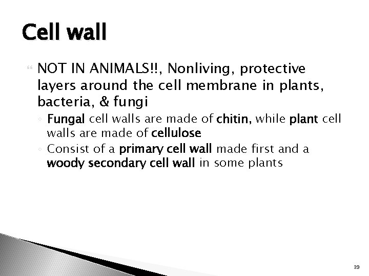 Cell wall NOT IN ANIMALS!!, Nonliving, protective layers around the cell membrane in plants,