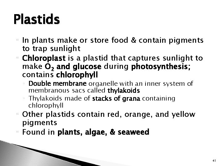 Plastids In plants make or store food & contain pigments to trap sunlight Chloroplast