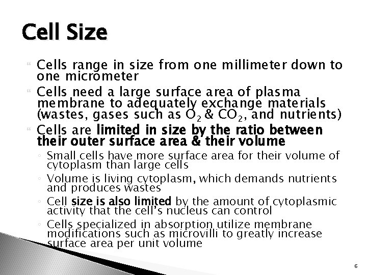 Cell Size Cells range in size from one millimeter down to one micrometer Cells