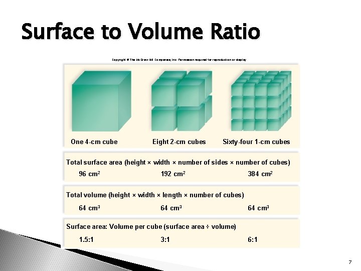 Surface to Volume Ratio Copyright © The Mc. Graw-Hill Companies, Inc. Permission required for