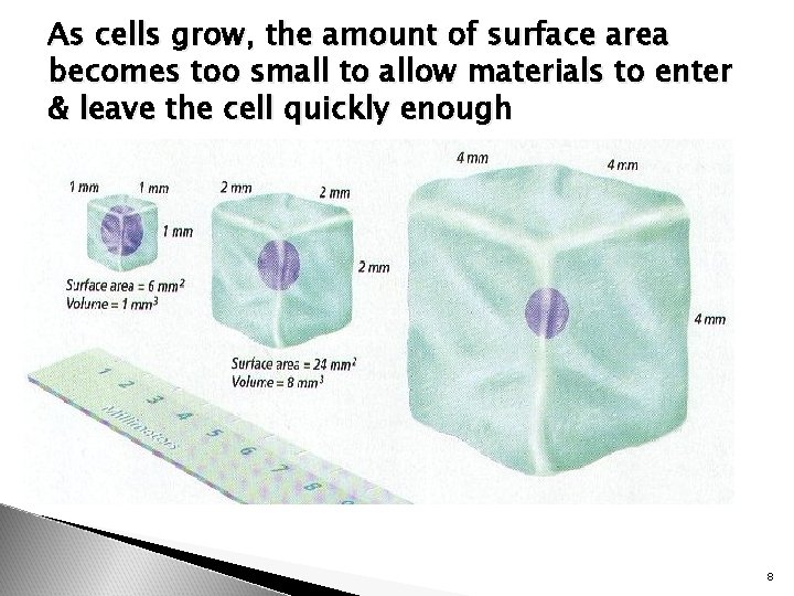 As cells grow, the amount of surface area becomes too small to allow materials