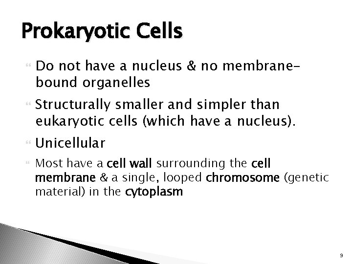 Prokaryotic Cells Do not have a nucleus & no membranebound organelles Structurally smaller and