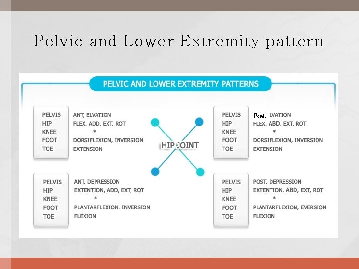 Pelvic and Lower Extremity pattern Post, 