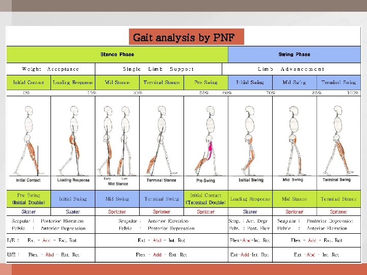 Gait analysis by PNF 