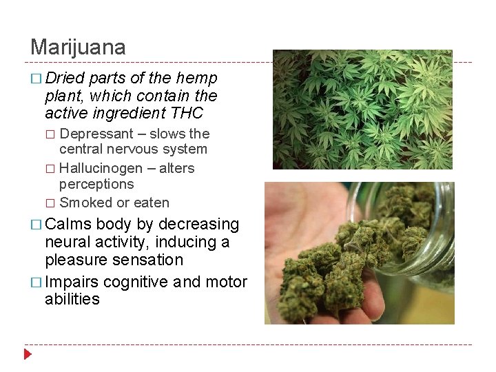 Marijuana � Dried parts of the hemp plant, which contain the active ingredient THC