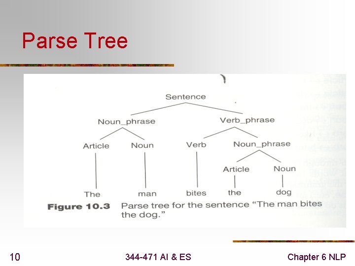 Parse Tree 10 344 -471 AI & ES Chapter 6 NLP 