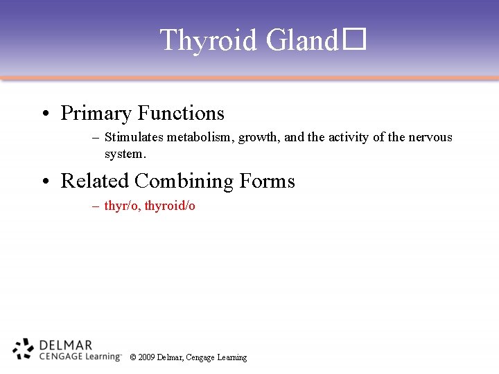 Thyroid Gland� • Primary Functions – Stimulates metabolism, growth, and the activity of the