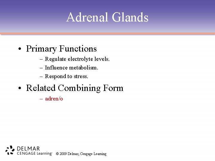 Adrenal Glands • Primary Functions – Regulate electrolyte levels. – Influence metabolism. – Respond