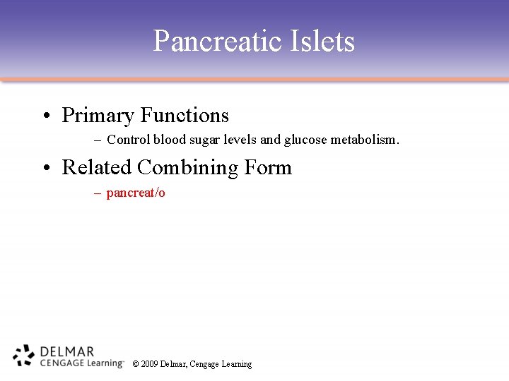 Pancreatic Islets • Primary Functions – Control blood sugar levels and glucose metabolism. •