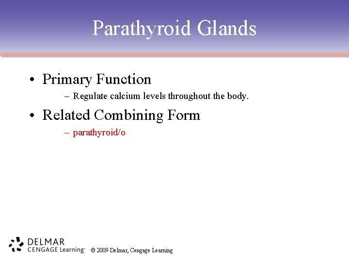 Parathyroid Glands • Primary Function – Regulate calcium levels throughout the body. • Related