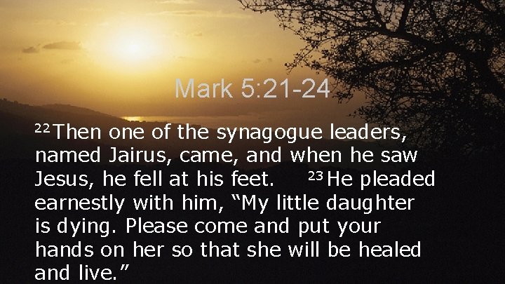 Mark 5: 21 -24 22 Then one of the synagogue leaders, named Jairus, came, Mark 5: 21 -24 22 Then one of the synagogue leaders, named Jairus, came,