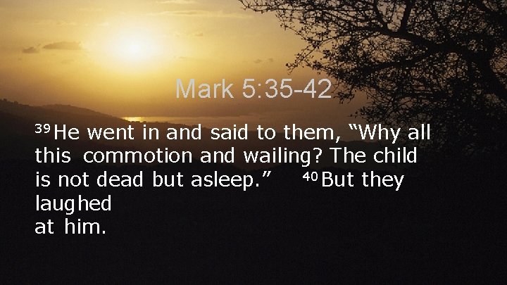 Mark 5: 35 -42 39 He went in and said to them, “Why all Mark 5: 35 -42 39 He went in and said to them, “Why all