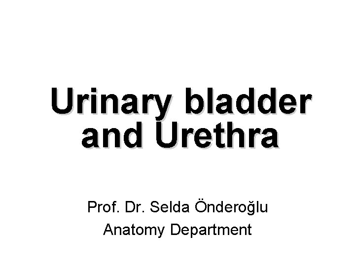 Urinary bladder and Urethra Prof. Dr. Selda Önderoğlu Anatomy Department 