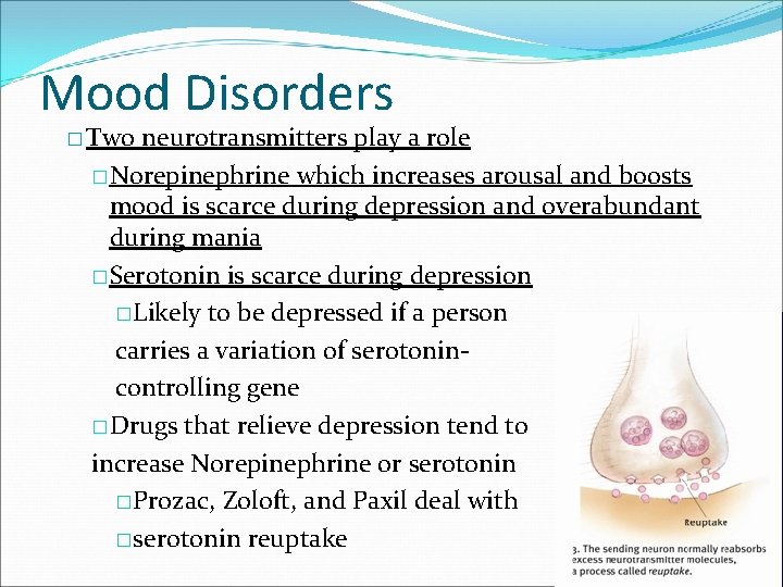 Mood Disorders � Two neurotransmitters play a role �Norepinephrine which increases arousal and boosts