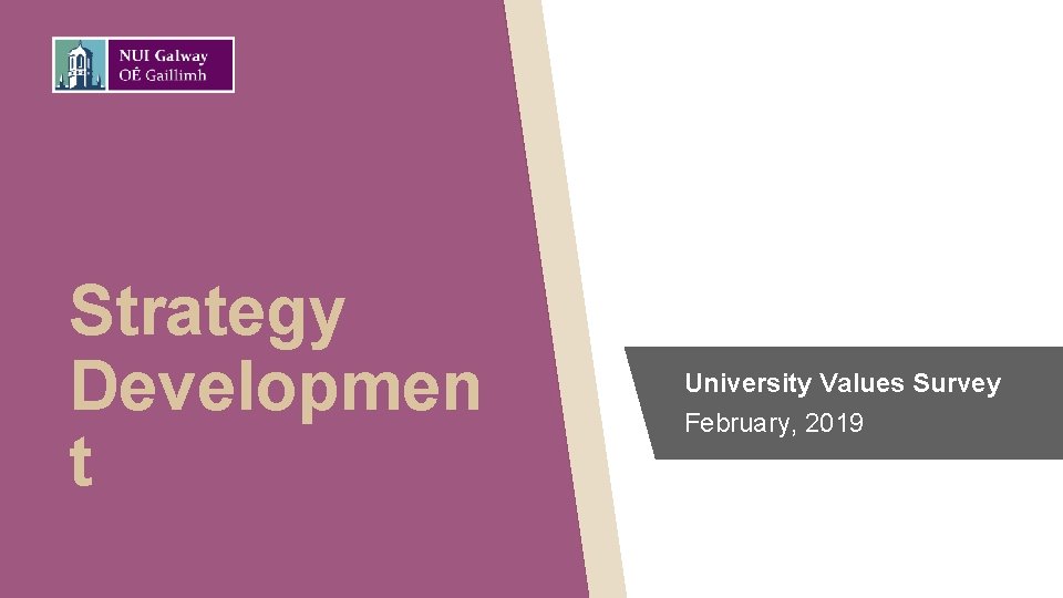 Strategy Developmen t University Values Survey February, 2019 
