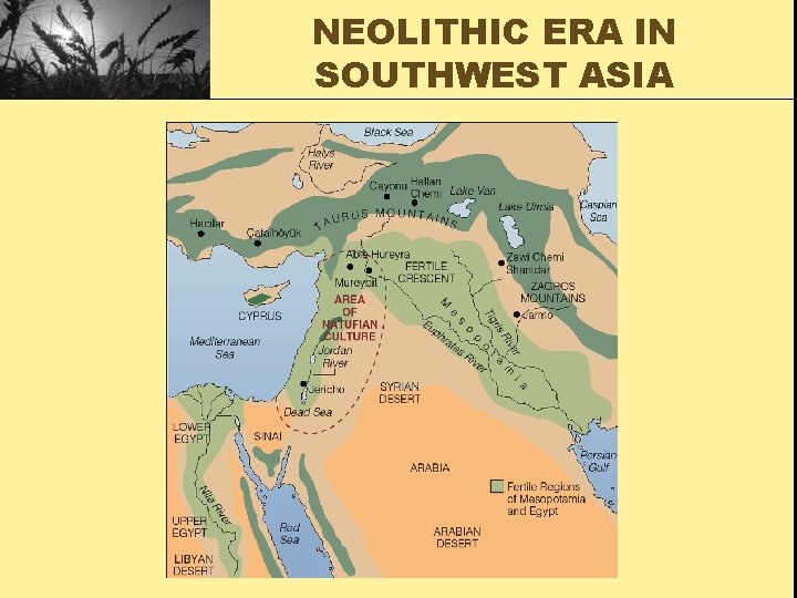 NEOLITHIC ERA IN SOUTHWEST ASIA 