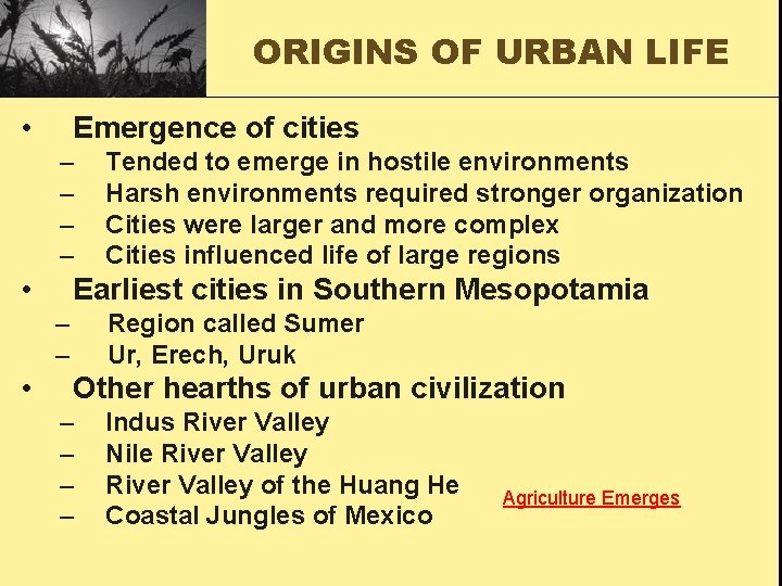 ORIGINS OF URBAN LIFE • Emergence of cities – – • Earliest cities in