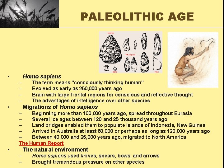 PALEOLITHIC AGE • Homo sapiens – – • The term means "consciously thinking human"