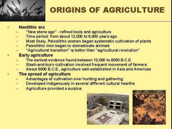 ORIGINS OF AGRICULTURE • Neolithic era – – – • "New stone age" -