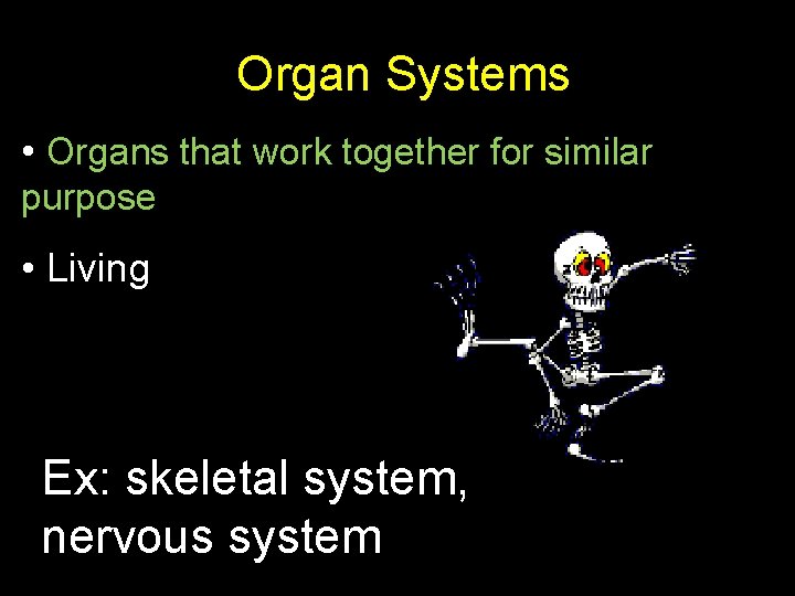 Organ Systems • Organs that work together for similar purpose • Living Ex: skeletal