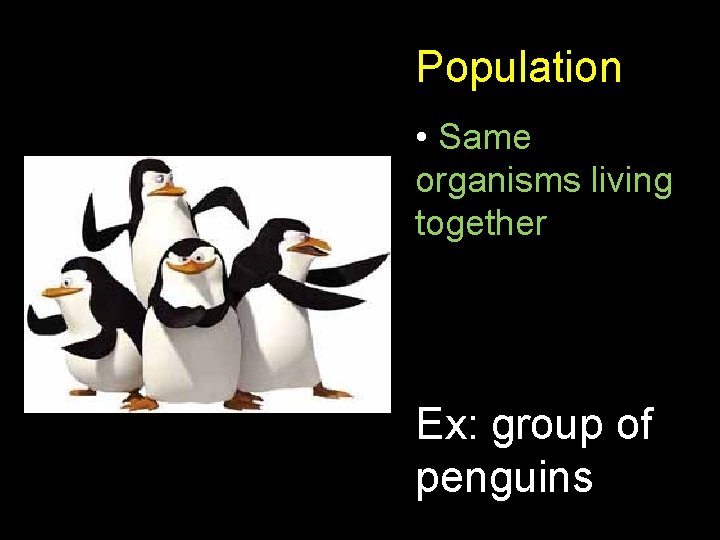 Population • Same organisms living together Ex: group of penguins 