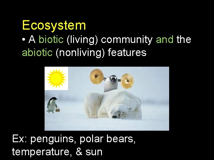 Ecosystem • A biotic (living) community and the abiotic (nonliving) features Ex: penguins, polar